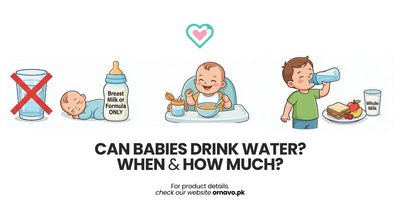 Can Babies Drink Water? When and How Much?