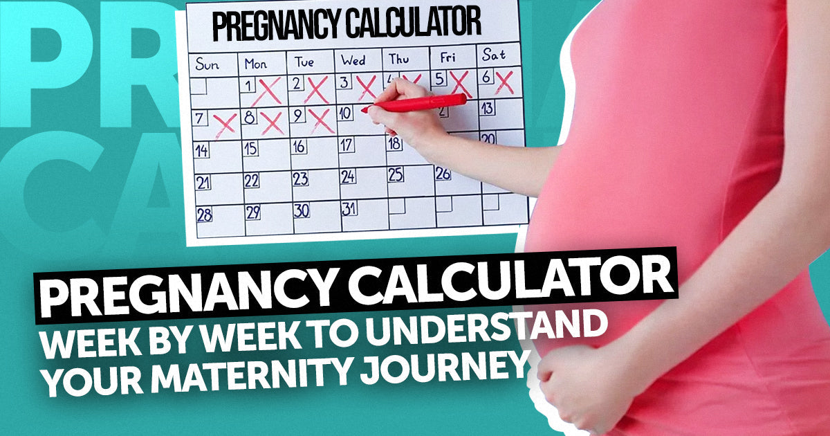 Pregnancy Week by Week Calculator to Understand Your Maternity Journey ...